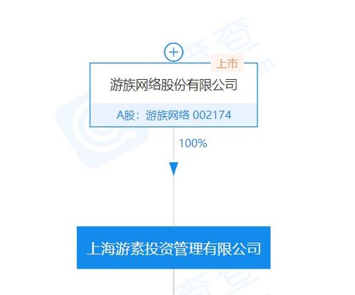 游族關(guān)聯(lián)公司全資入股桑喆網(wǎng)絡(luò) 計(jì)算機(jī)系統(tǒng)集成服務(wù)迎來新布局