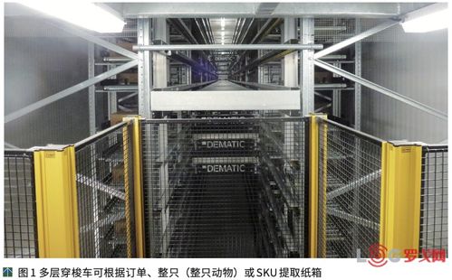 澳大利亞NCMC肉類加工廠提高競爭力的秘訣 自動化物流系統與計算機系統集成服務